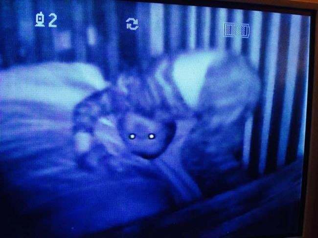 15 spooky photographs captured from baby monitors