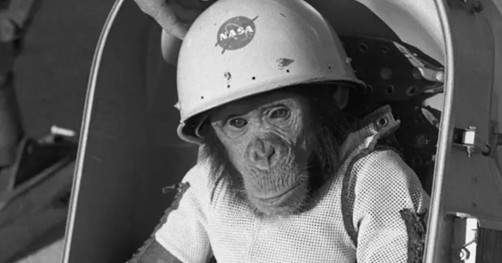 Se cumplen 61 años del primer primate en sobrevivir un viaje al espacio