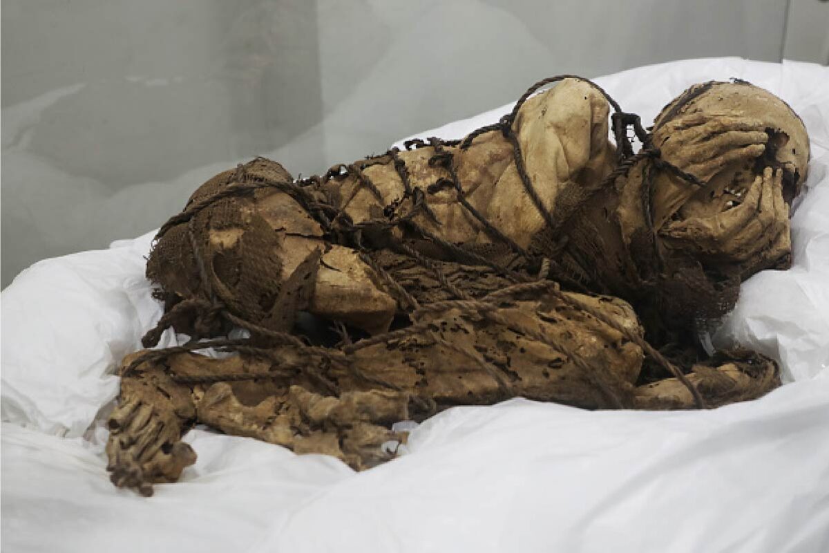 Encuentran momia preínca de mil años de antigüedad en perfecto estado.